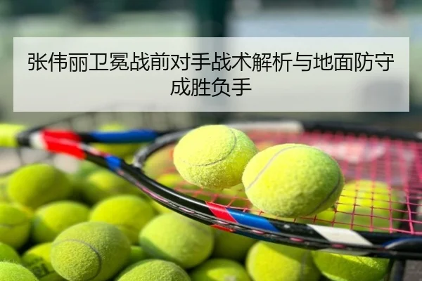 张伟丽卫冕战前对手战术解析与地面防守成胜负手